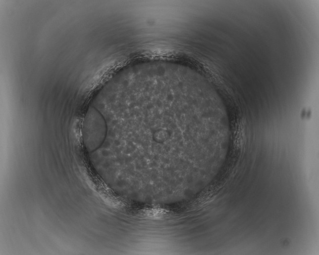 X0000115320695200911161745