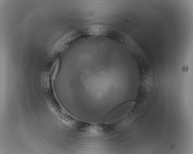 X0000115320696200911161745