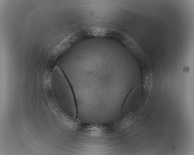 X0000115320697200911161745