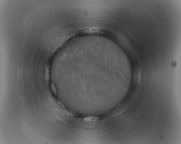 X0000115320700200911161745