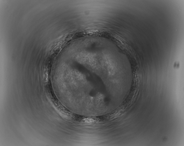 X0000115320703200911161745