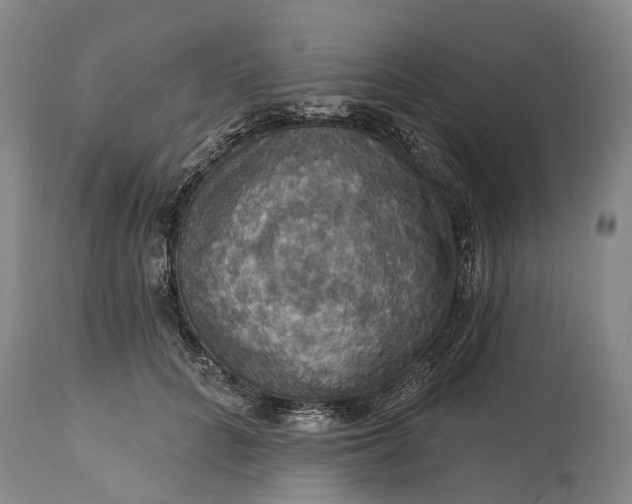 X0000115320704200911161745