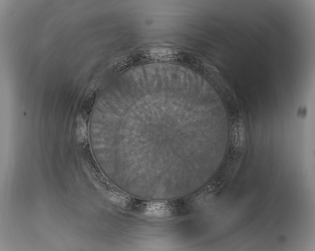 X0000115320705200911161745