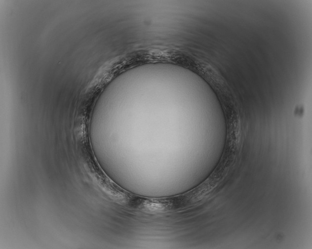 X0000115320706200911161745