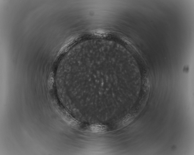 X0000115320707200911161745