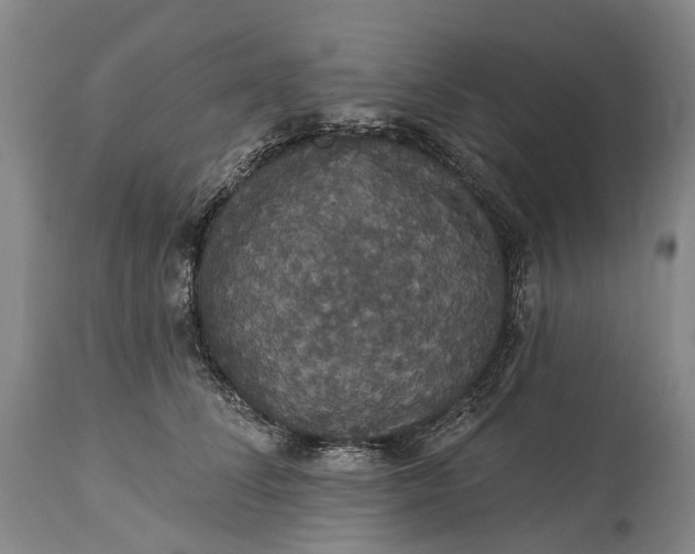 X0000115320708200911161745