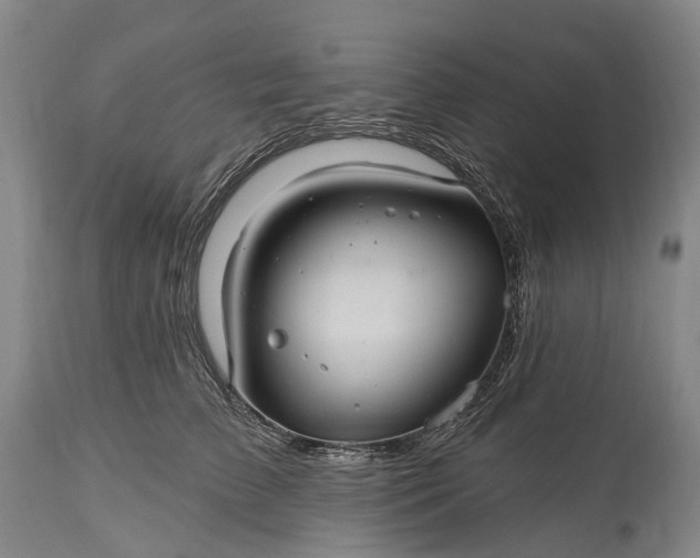 X0000115320709200911161745