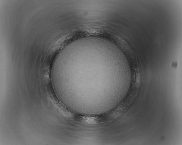 X0000115320710200911161745