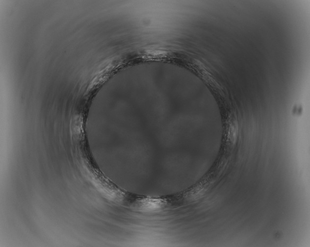 X0000115320711200911161745