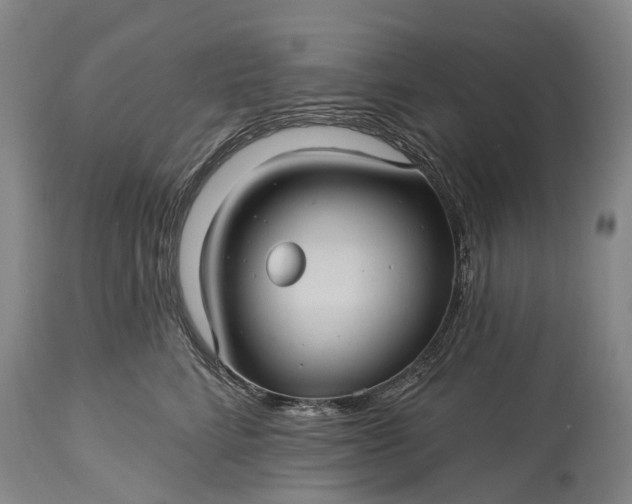 X0000115320712200911161745