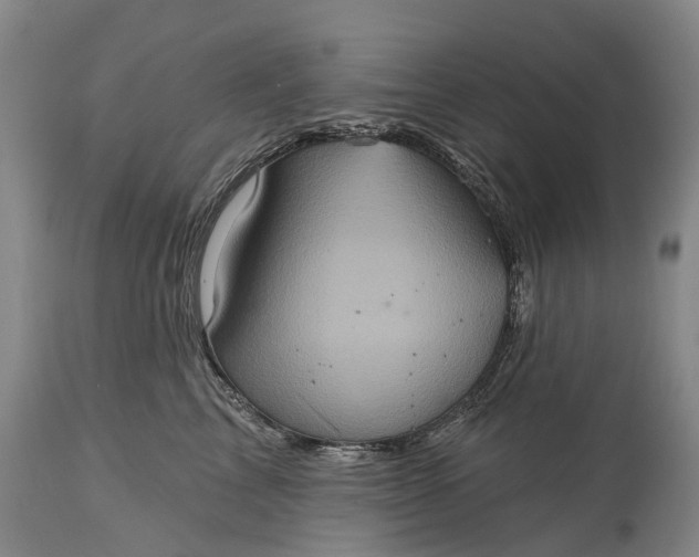 X0000115320713200911161745