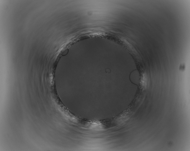 X0000115320715200911161745