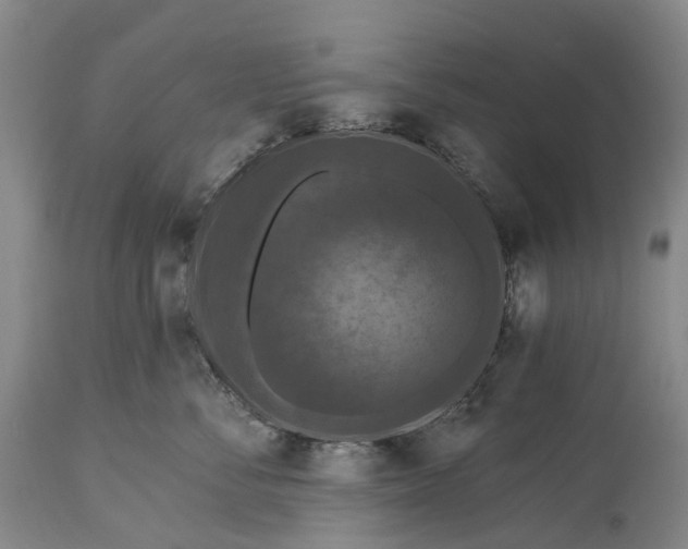 X0000115320716200911161745