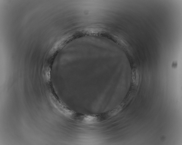 X0000115320718200911161745