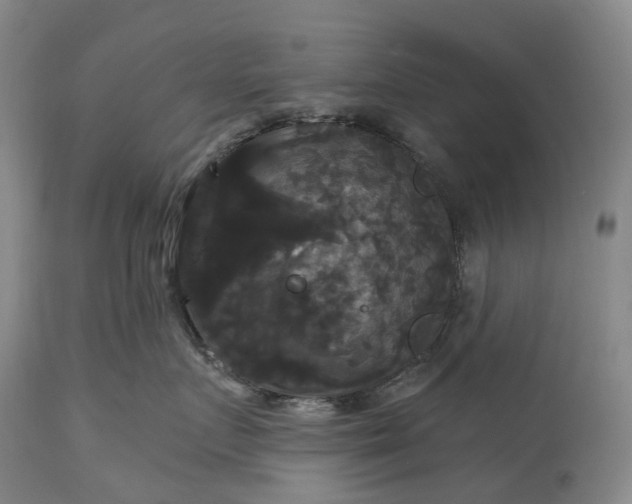 X0000115320719200911161745