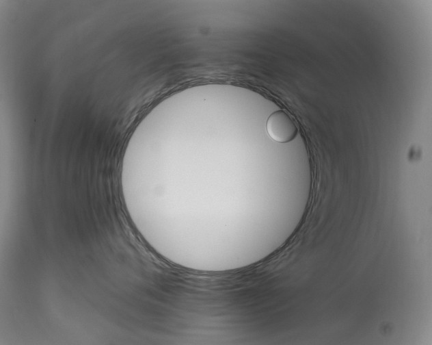 X0000115320720200911161745