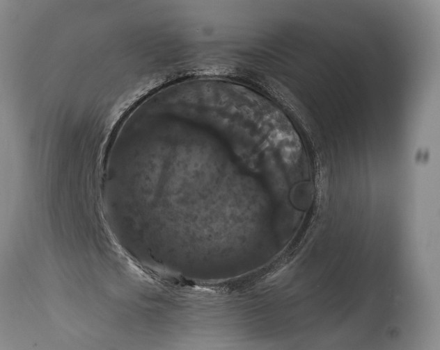 X0000115320721200911161744