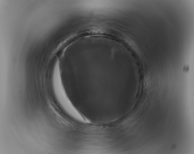 X0000115320722200911161744