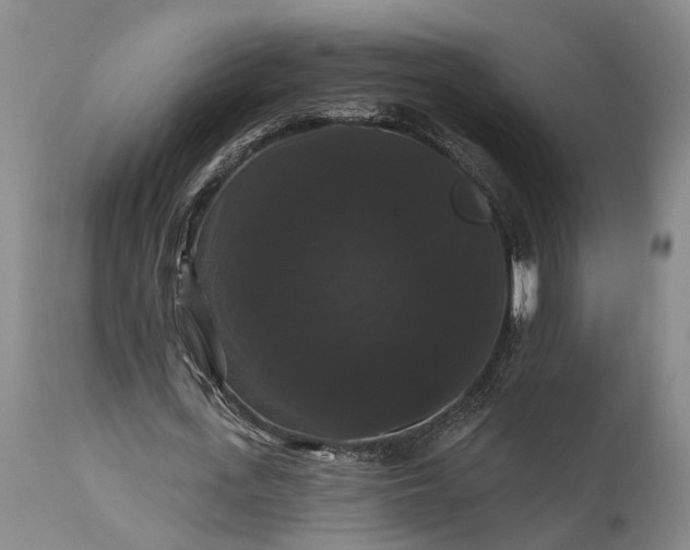 X0000115320723200911161744