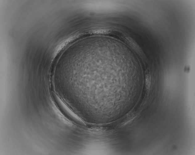 X0000115320725200911161744