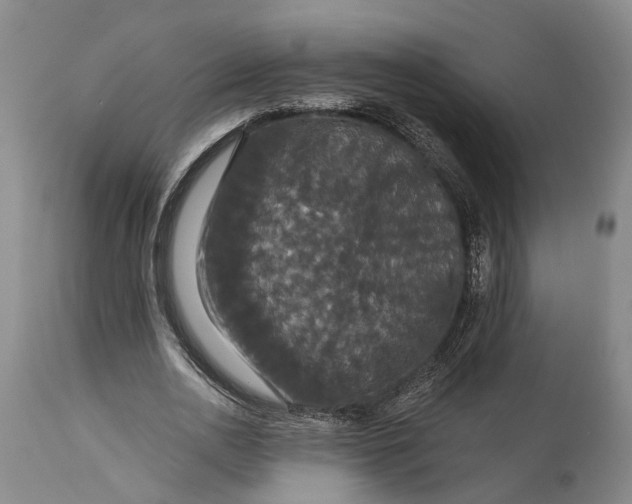 X0000115320726200911161744