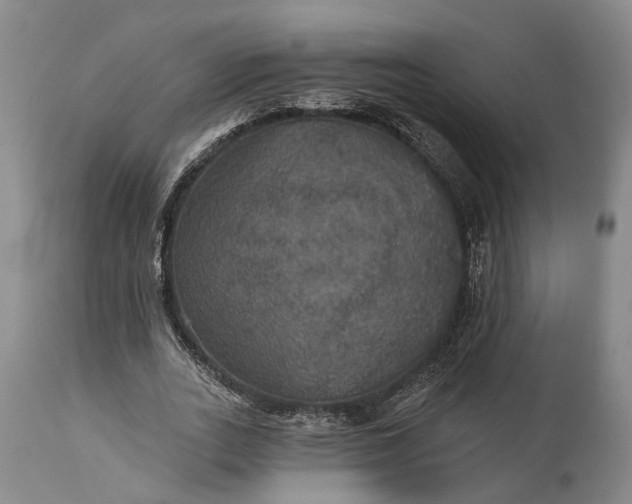 X0000115320727200911161744