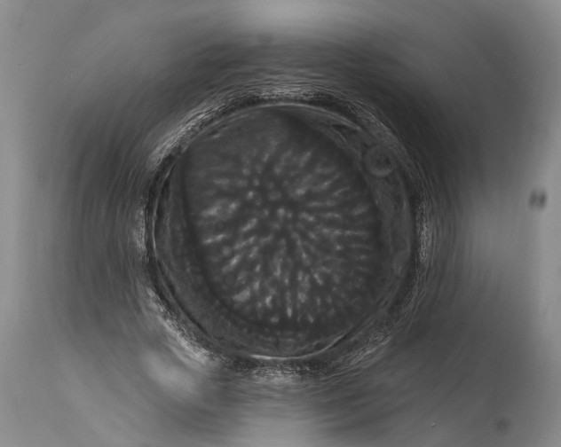 X0000115320729200911161744