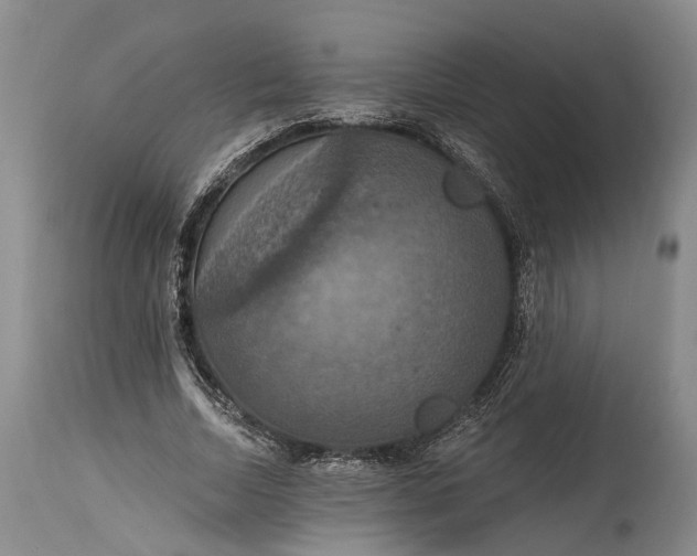 X0000115320730200911161744