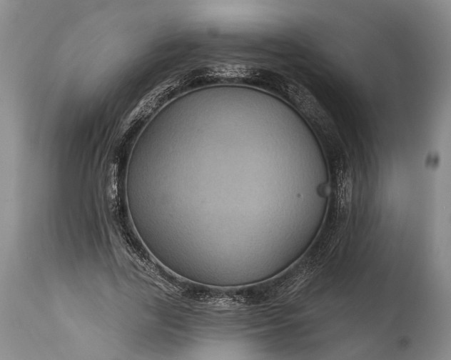 X0000115320731200911161744