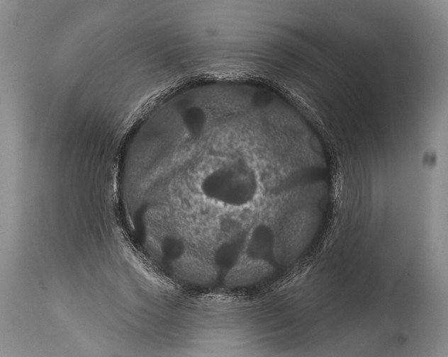 X0000115320733200911161744