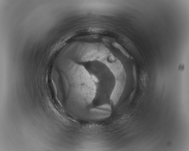 X0000115320734200911161744