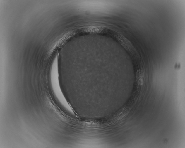 X0000115320735200911161744