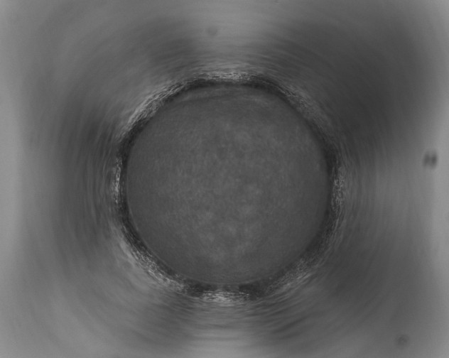 X0000115320739200911161744