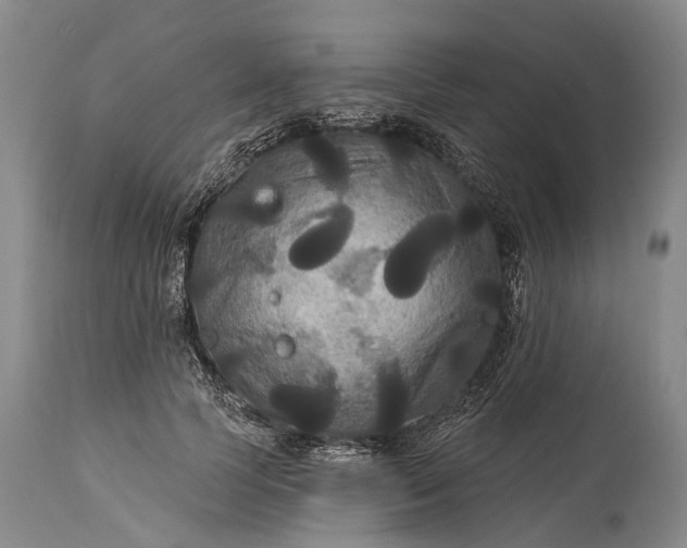 X0000115320745200911161744