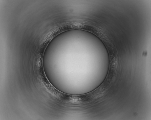 X0000115320746200911161744