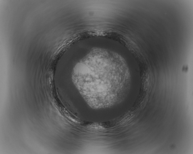 X0000115320747200911161744