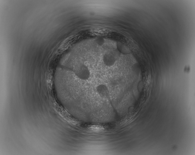 X0000115320749200911161745