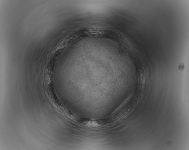 X0000115320751200911161745