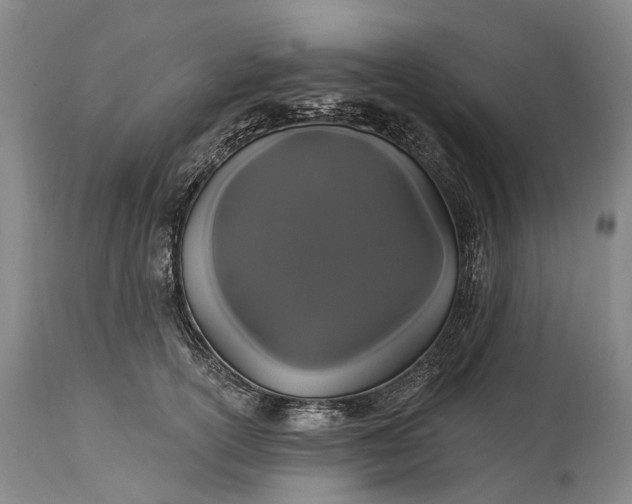 X0000115320754200911161745