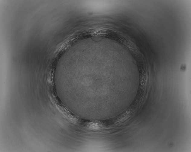 X0000115320755200911161745