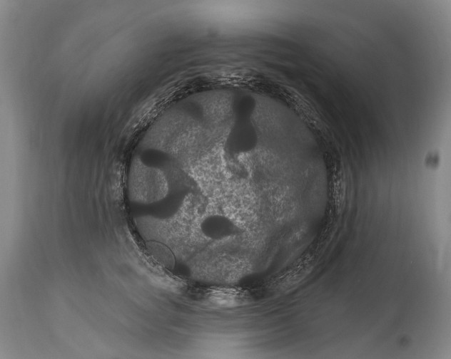 X0000115320757200911161745