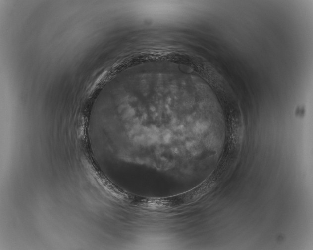 X0000115320758200911161745