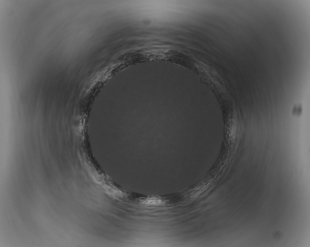 X0000115320759200911161745