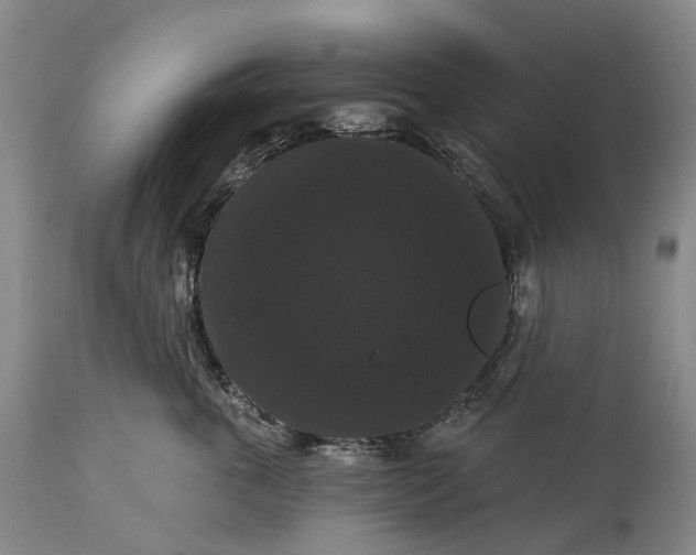 X0000115320763200911161745