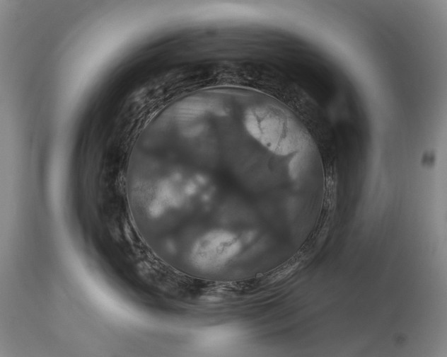 X0000115320765200911161745