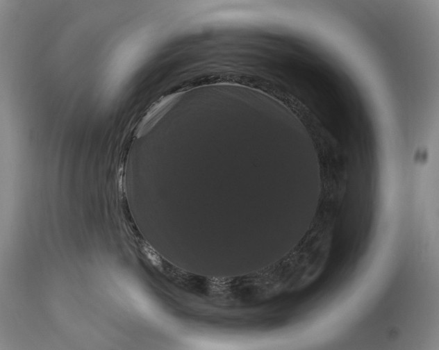 X0000115320766200911161745