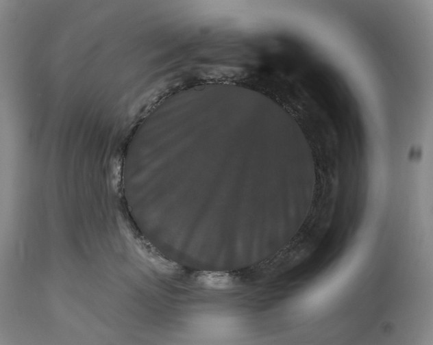 X0000115320767200911161745