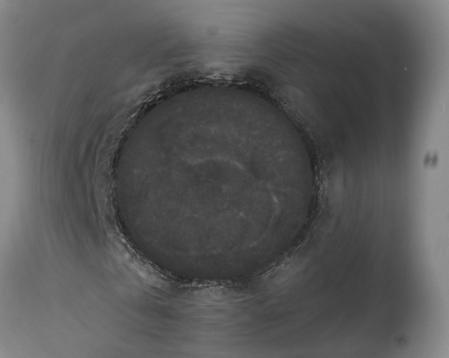 X0000115320769200911161744