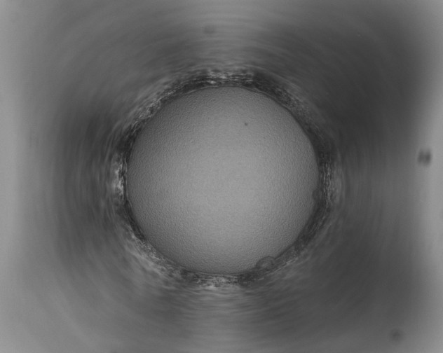 X0000115320770200911161744