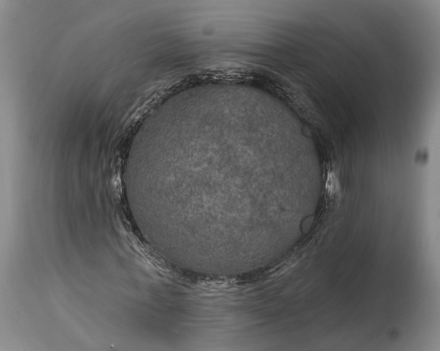 X0000115320771200911161744